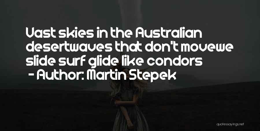 Skies Quotes By Martin Stepek