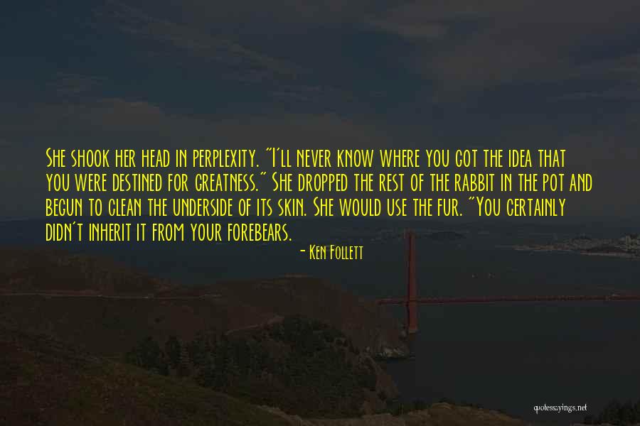 Skiffer Quotes By Ken Follett Skiffer Quotes By Ken Follett