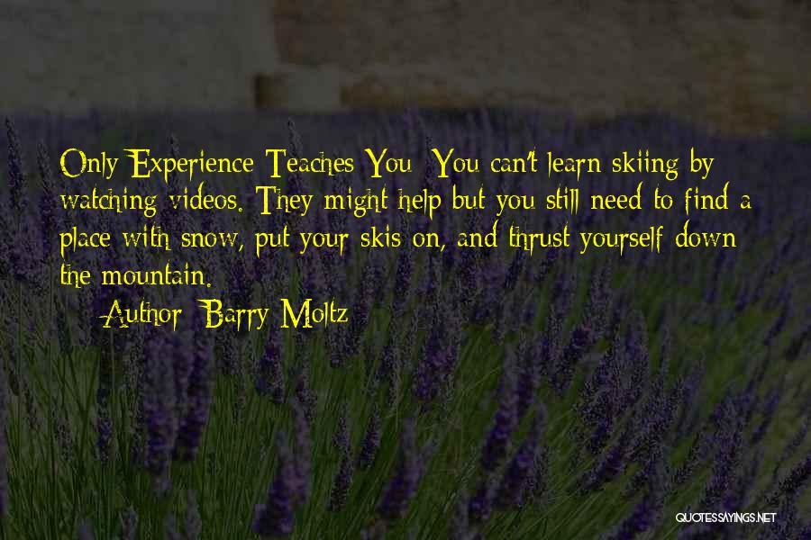 Skiing Quotes By Barry Moltz