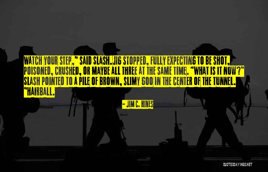 Skiljevic Sasa Quotes By Jim C. Hines Skiljevic Sasa Quotes By Jim C. Hines