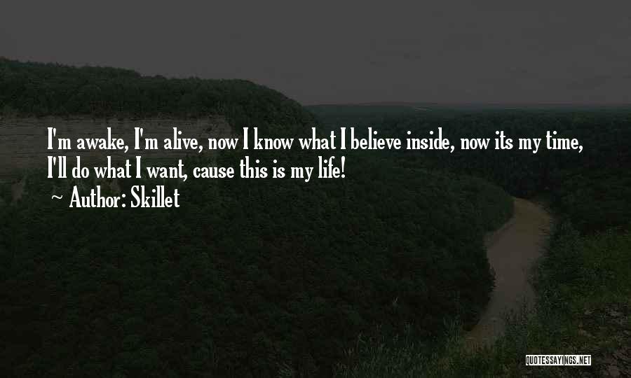 Skillet Quotes 1266361