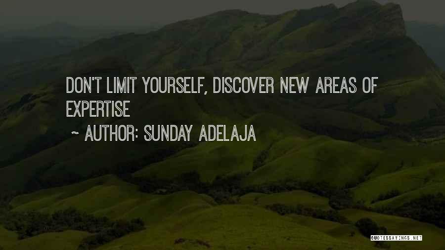 Skills And Expertise Quotes By Sunday Adelaja