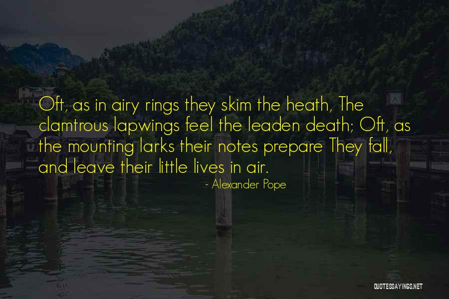Skim Quotes By Alexander Pope Skim Quotes By Alexander Pope
