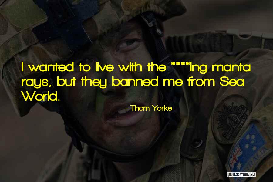 Skimmer For Above Ground Quotes By Thom Yorke Skimmer For Above Ground Quotes By Thom Yorke