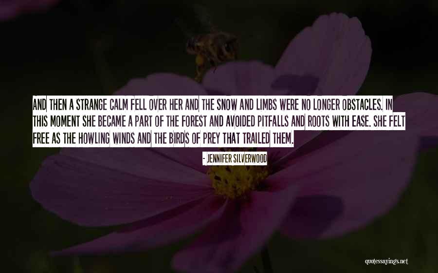 Skimmers Birds Quotes By Jennifer Silverwood Skimmers Birds Quotes By Jennifer Silverwood
