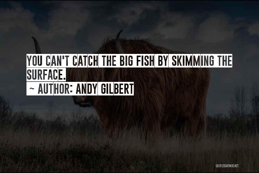 Skimming Quotes By Andy Gilbert