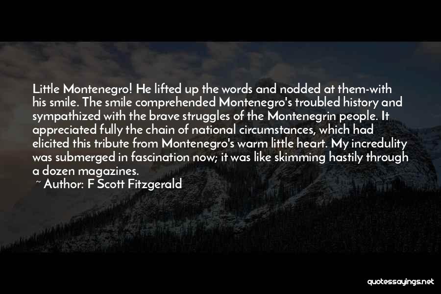 Skimming Quotes By F Scott Fitzgerald