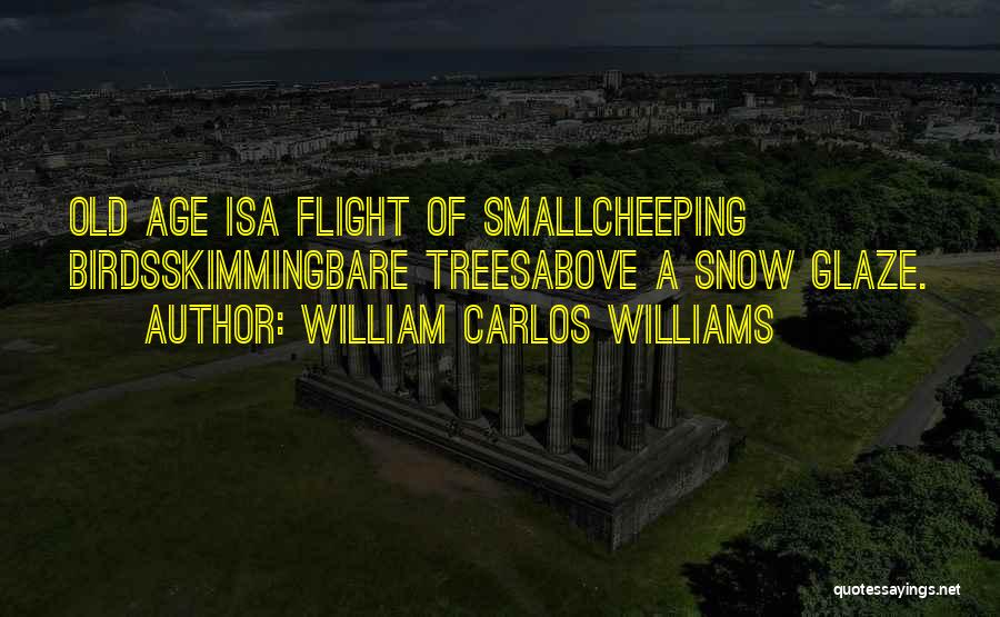 Skimming Quotes By William Carlos Williams