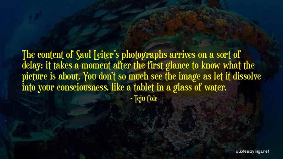 Skimming Strategy Quotes By Teju Cole Skimming Strategy Quotes By Teju Cole
