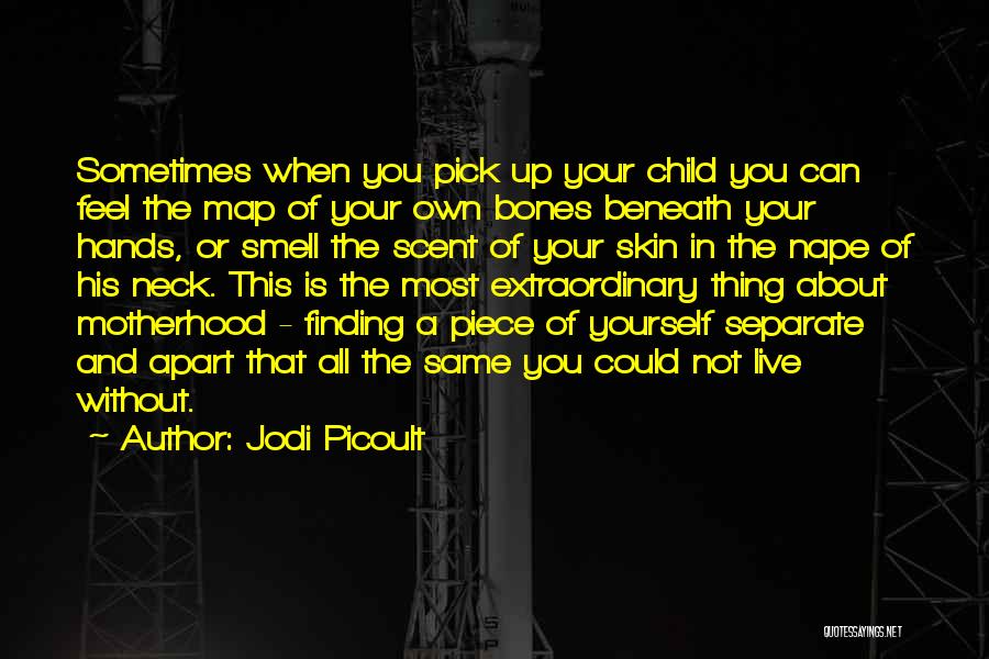Skin And Bones Quotes By Jodi Picoult