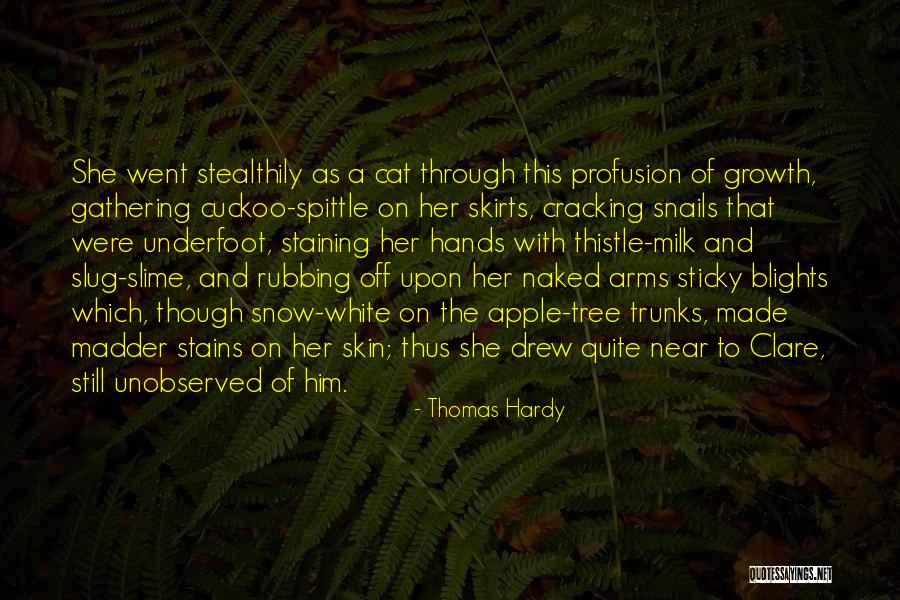 Skin And Growth Quotes By Thomas Hardy Skin And Growth Quotes By Thomas Hardy