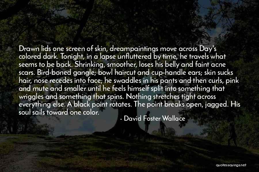 Skin And Scars Quotes By David Foster Wallace Skin And Scars Quotes By David Foster Wallace