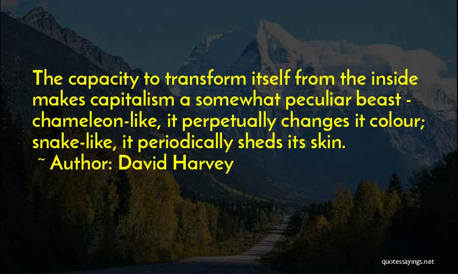 Skin Colour Quotes By David Harvey