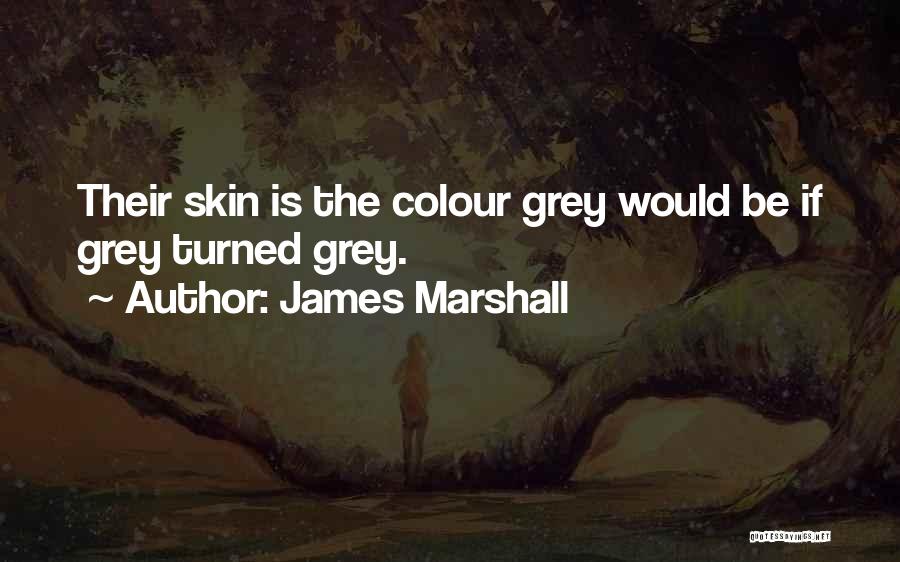 Skin Colour Quotes By James Marshall