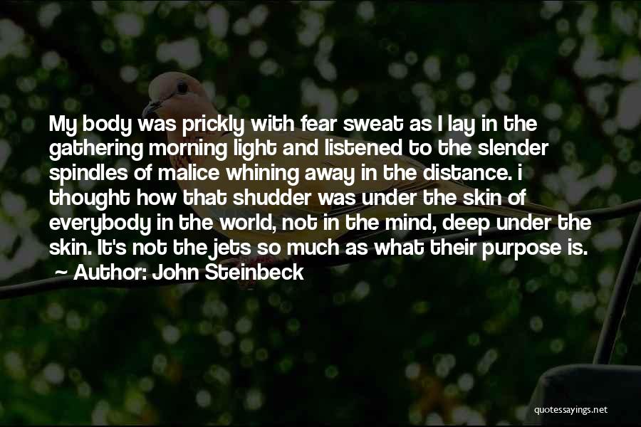 Skin Deep Quotes By John Steinbeck
