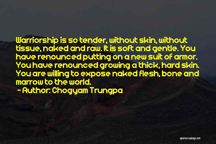 Skin So Soft Quotes By Chogyam Trungpa