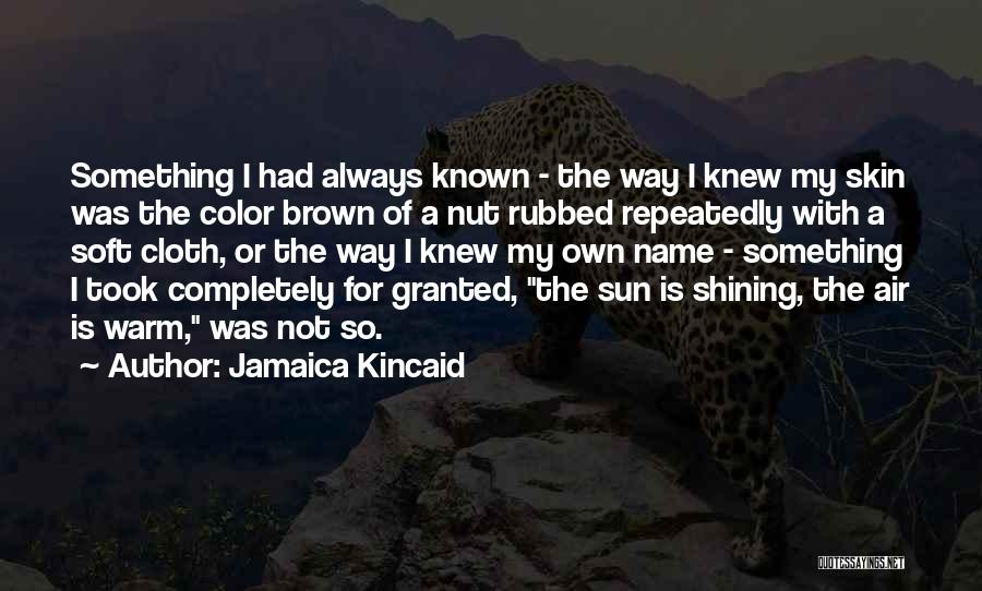 Skin So Soft Quotes By Jamaica Kincaid