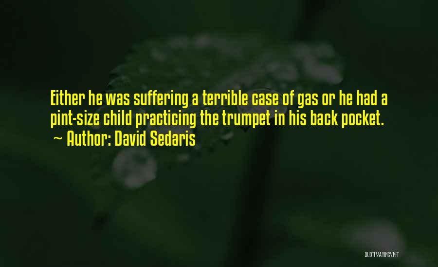 Skin Supplement Quotes By David Sedaris