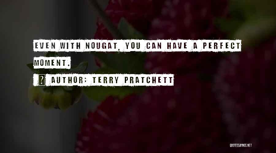 Skin Supplement Quotes By Terry Pratchett