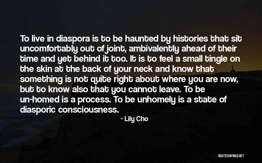 Skin You Live In Quotes By Lily Cho Skin You Live In Quotes By Lily Cho