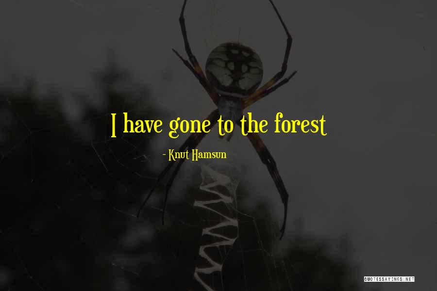 Skinnay Bandleader Quotes By Knut Hamsun
