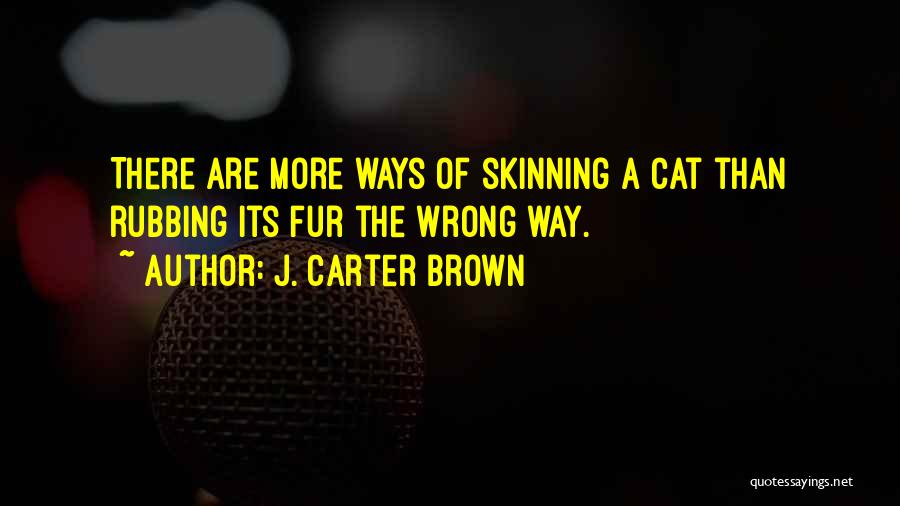 Skinning Quotes By J. Carter Brown
