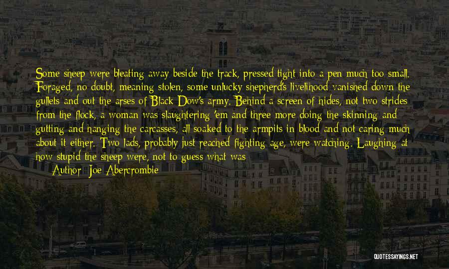 Skinning Quotes By Joe Abercrombie