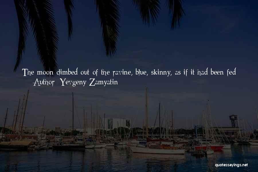 Skinny Legs Quotes By Yevgeny Zamyatin