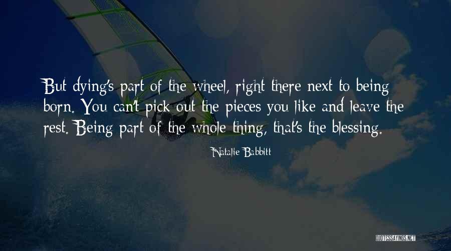Skippa Da Flippa Quotes By Natalie Babbitt Skippa Da Flippa Quotes By Natalie Babbitt