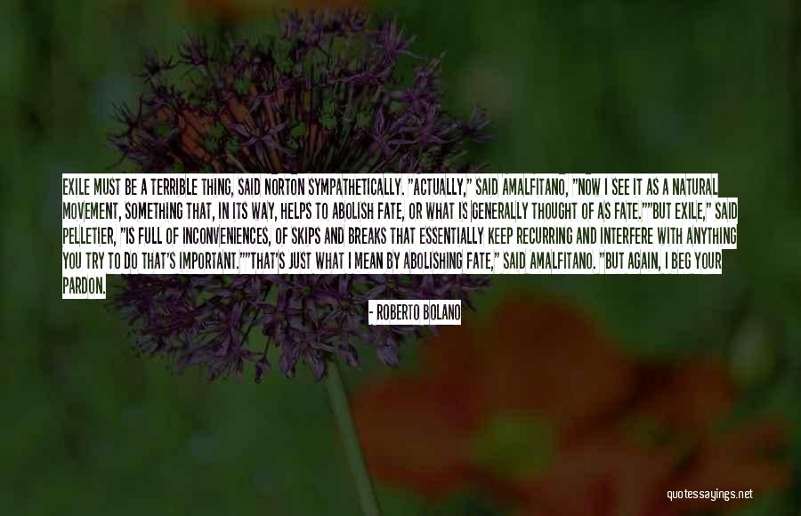 Skips Quotes By Roberto Bolano Skips Quotes By Roberto Bolano
