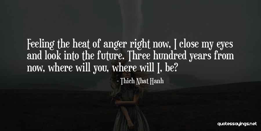 Skirmantas Valiulis Quotes By Thich Nhat Hanh Skirmantas Valiulis Quotes By Thich Nhat Hanh