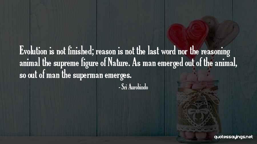 Skisploit Quotes By Sri Aurobindo Skisploit Quotes By Sri Aurobindo
