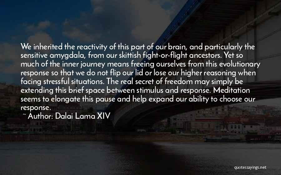 Skittish Quotes By Dalai Lama XIV