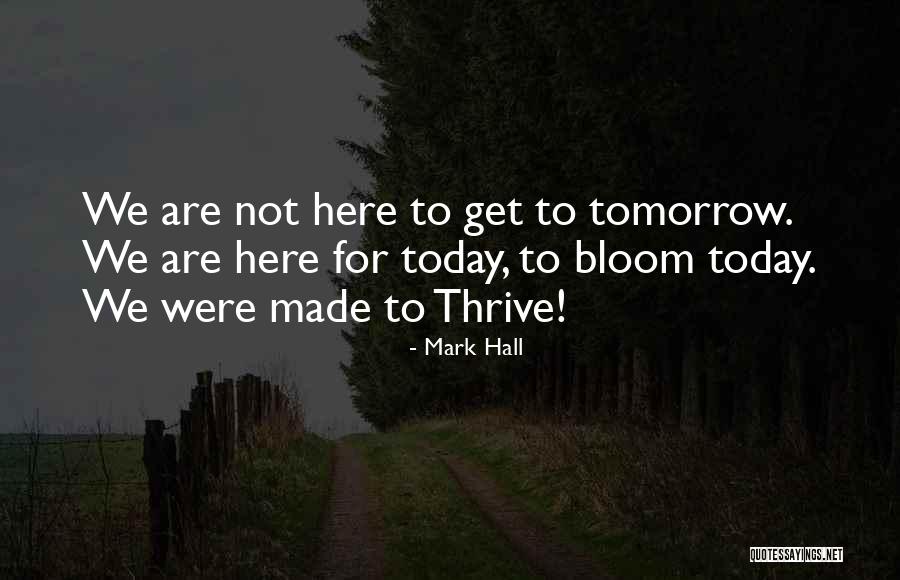 Skizzy Quotes By Mark Hall Skizzy Quotes By Mark Hall