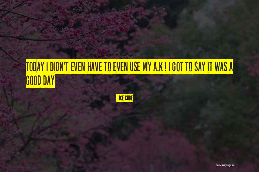 Skjebnesymfonien Quotes By Ice Cube Skjebnesymfonien Quotes By Ice Cube