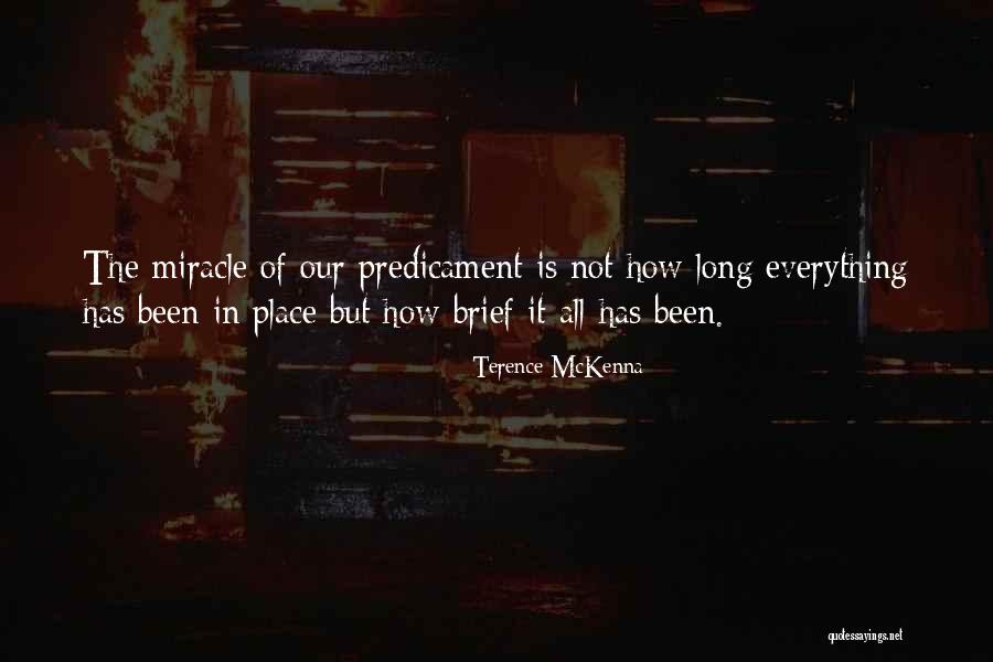 Skllaveria Quotes By Terence McKenna Skllaveria Quotes By Terence McKenna