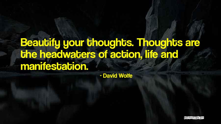 Skoften Quotes By David Wolfe Skoften Quotes By David Wolfe