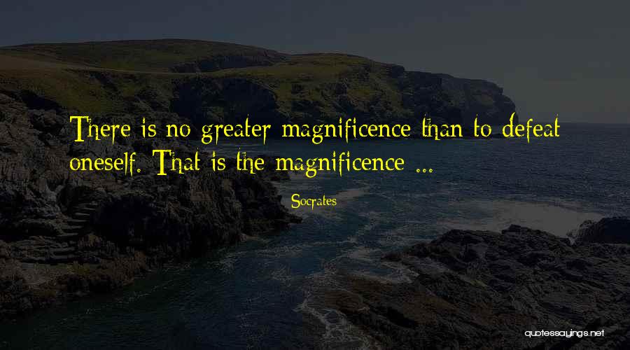 Skold Specialty Quotes By Socrates Skold Specialty Quotes By Socrates