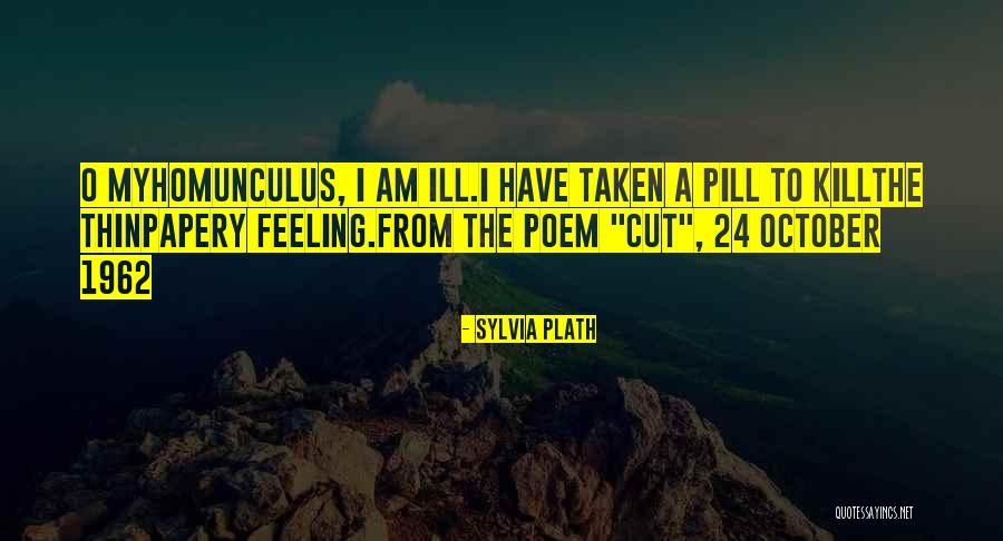 Skope Quotes By Sylvia Plath Skope Quotes By Sylvia Plath