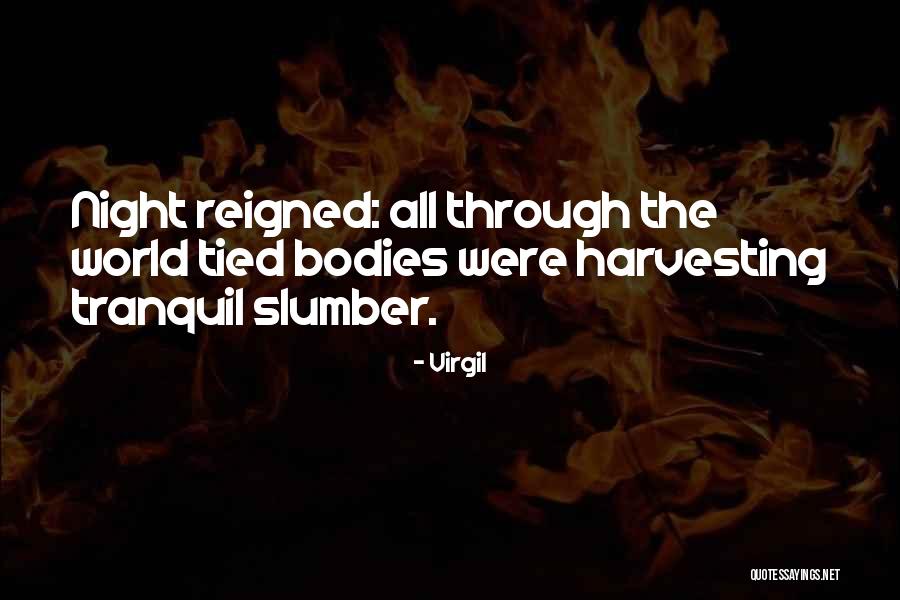 Skope Quotes By Virgil Skope Quotes By Virgil