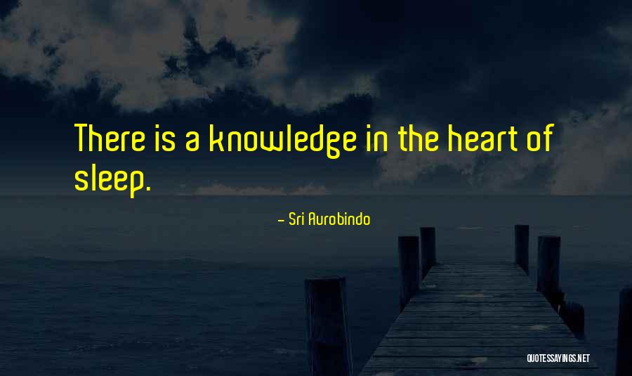 Skovgaard Museum Quotes By Sri Aurobindo