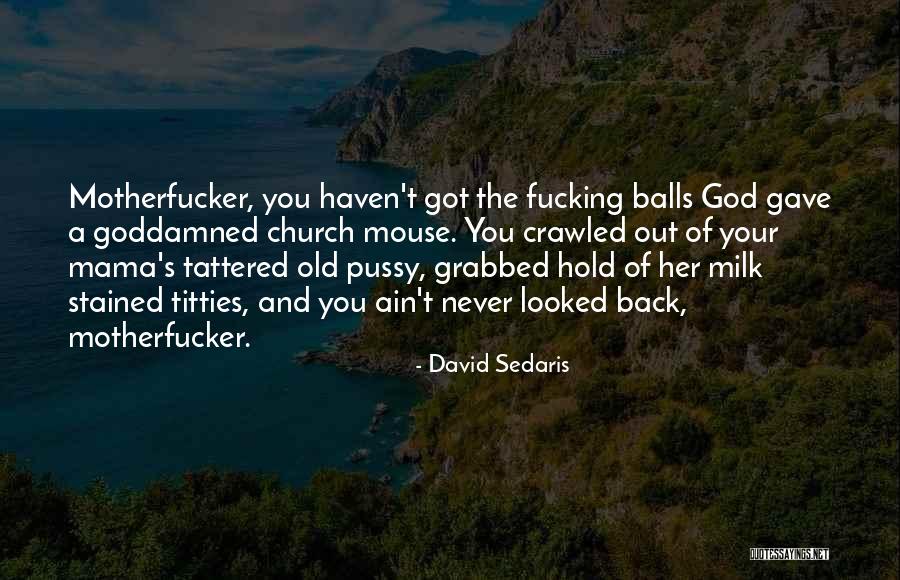 Skowronek Notre Dame Quotes By David Sedaris Skowronek Notre Dame Quotes By David Sedaris