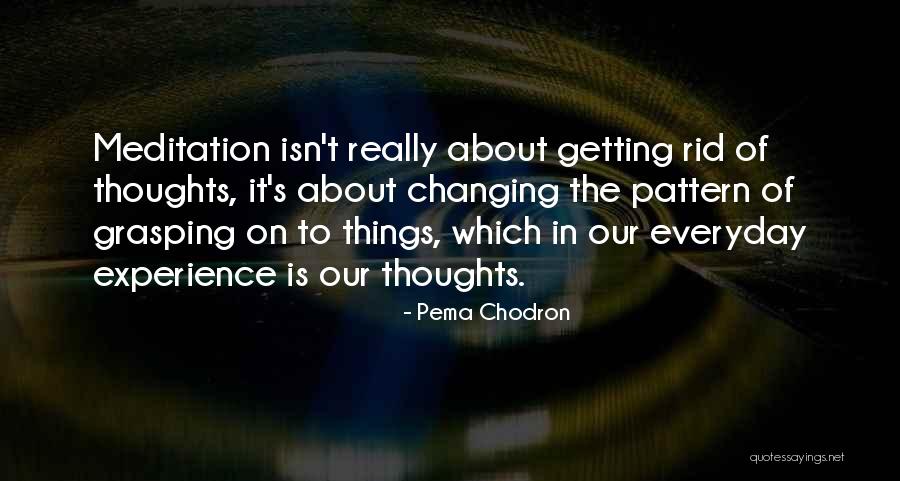 Skrajne Wczesniaki Quotes By Pema Chodron Skrajne Wczesniaki Quotes By Pema Chodron