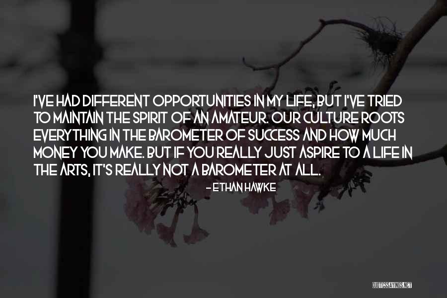 Skrenuo Si Quotes By Ethan Hawke Skrenuo Si Quotes By Ethan Hawke