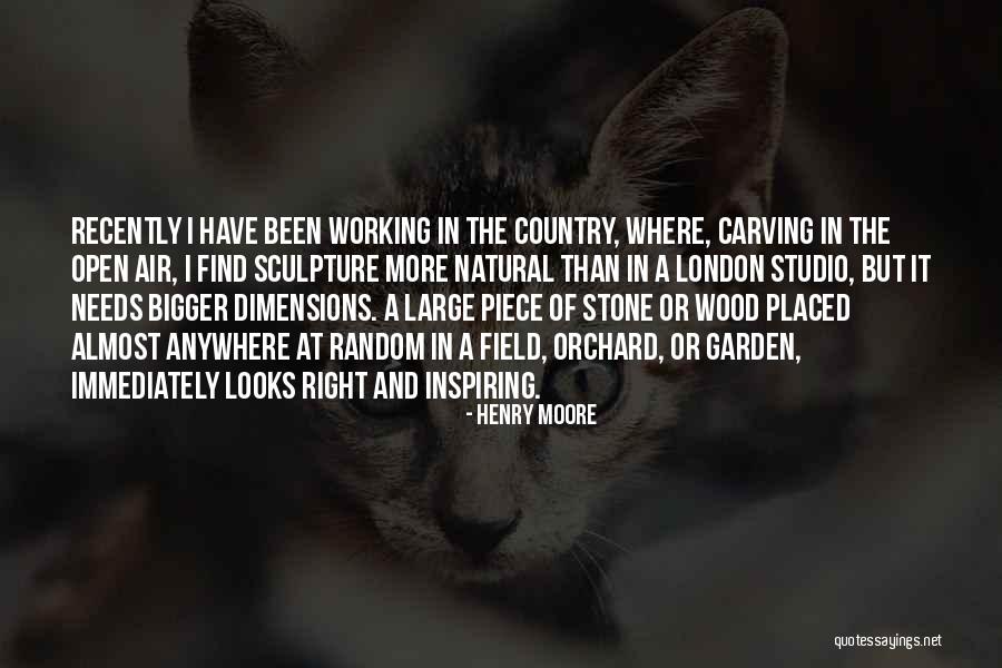 Skrido Quotes By Henry Moore Skrido Quotes By Henry Moore