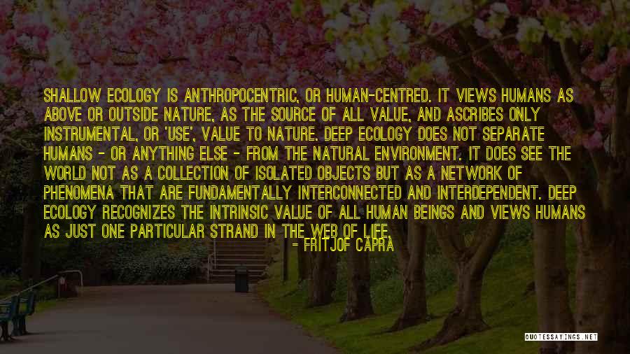 Skrzypaczka Quotes By Fritjof Capra Skrzypaczka Quotes By Fritjof Capra