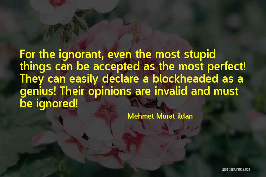 Skrzypaczka Quotes By Mehmet Murat Ildan Skrzypaczka Quotes By Mehmet Murat Ildan