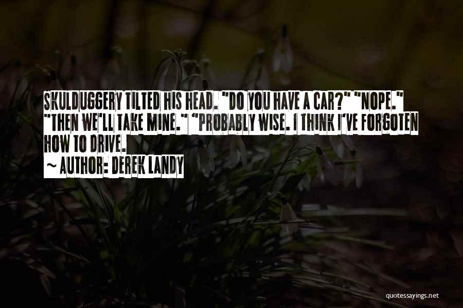 Skulduggery Quotes By Derek Landy