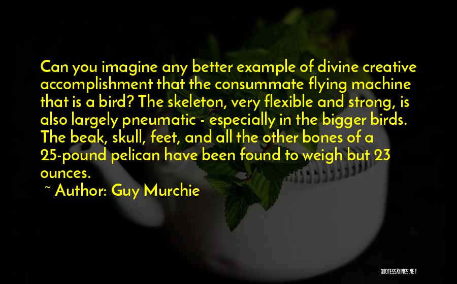 Skull And Bones Quotes By Guy Murchie