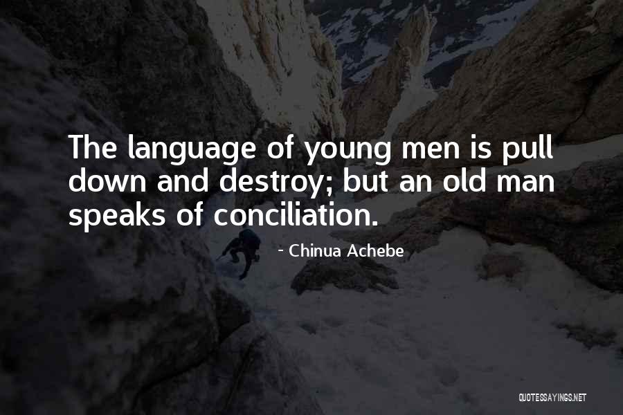 Skullash Quotes By Chinua Achebe Skullash Quotes By Chinua Achebe